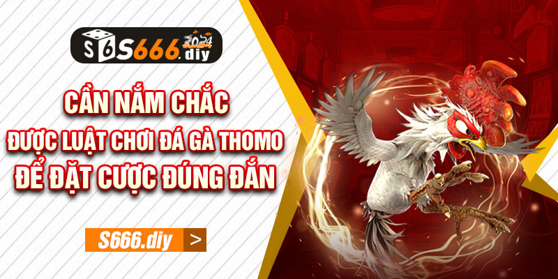 Cần nắm chắc được luật chơi đá gà Thomo để đặt cược đúng đắn 