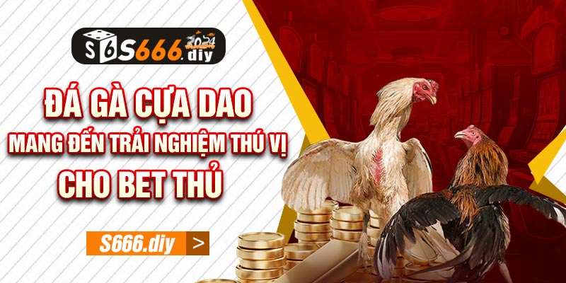 Đá gà cựa dao mang đến trải nghiệm thú vị cho bet thủ