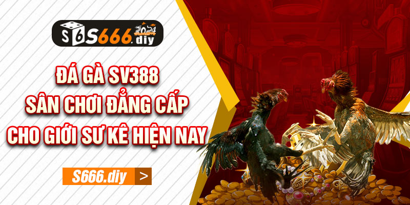 Đá gà SV388 - Sân chơi đẳng cấp cho giới sư kê hiện nay