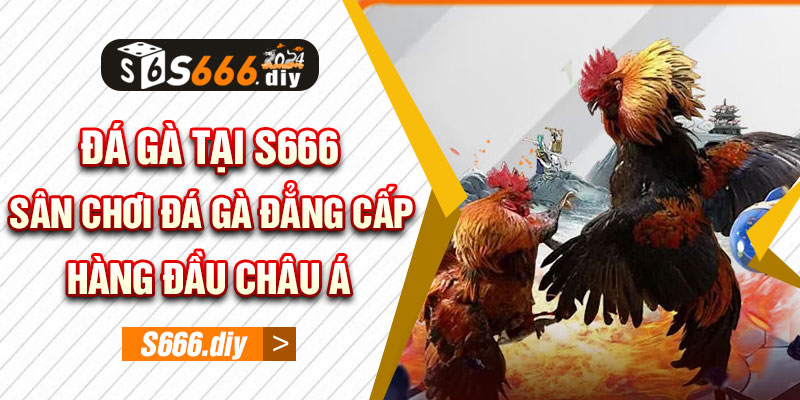 Đá Gà S666: Sân Chơi Đá Gà Đẳng Cấp Hàng Đầu Châu Á