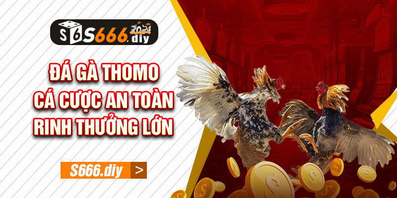 Đá Gà Thomo - Cá Cược An Toàn, Rinh Thưởng Lớn