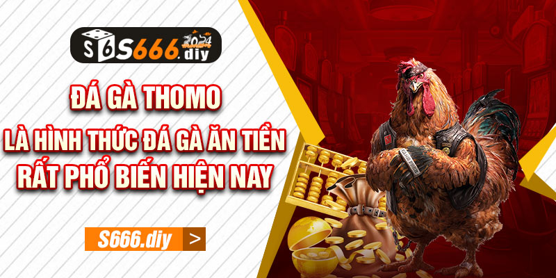 Đá gà Thomo là hình thức đá gà ăn tiền rất phổ biến hiện nay 