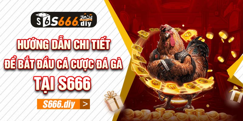 Hướng dẫn chi tiết để bắt đầu cá cược đá gà tại S666