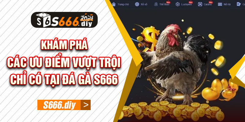 Khám phá các ưu điểm vượt trội chỉ có tại Đá Gà S666