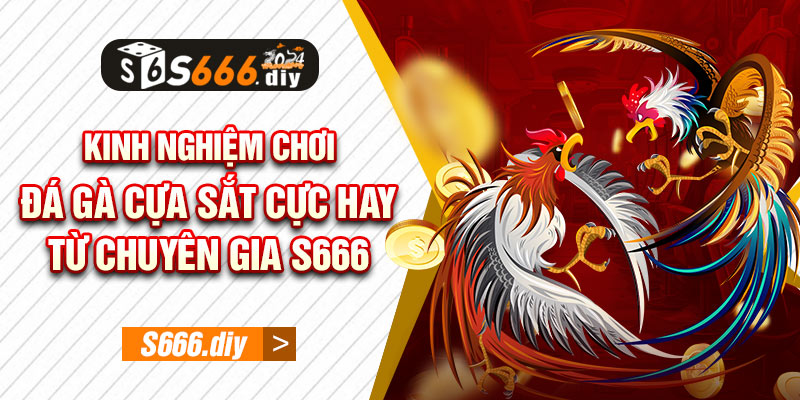 Kinh nghiệm chơi đá gà cựa sắt cực hay từ chuyên gia S666