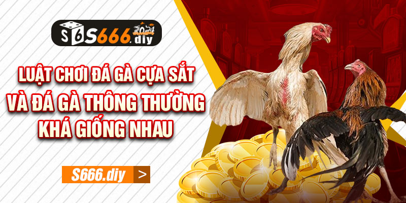 Luật chơi đá gà cựa sắt và đá gà thông thường khá giống nhau