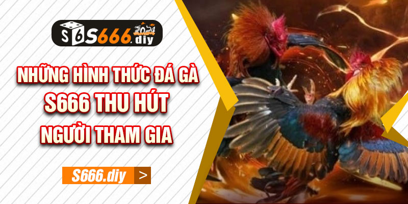 Những hình thức Đá Gà S666 thu hút người tham gia