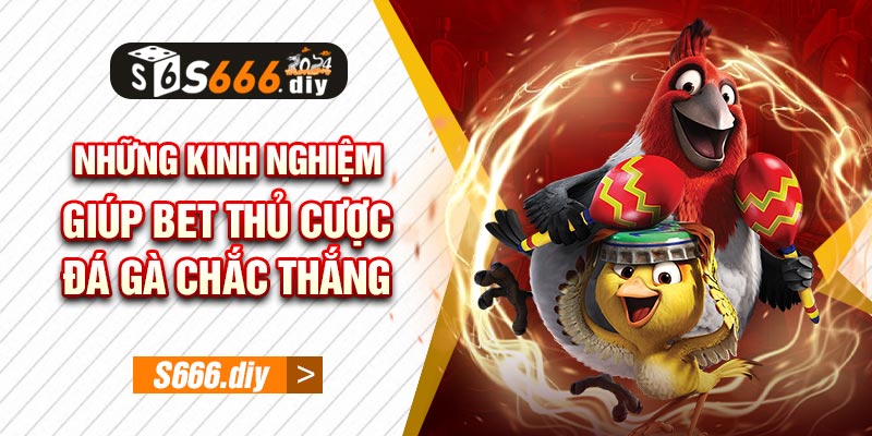 Những kinh nghiệm giúp bet thủ cược đá gà chắc thắng