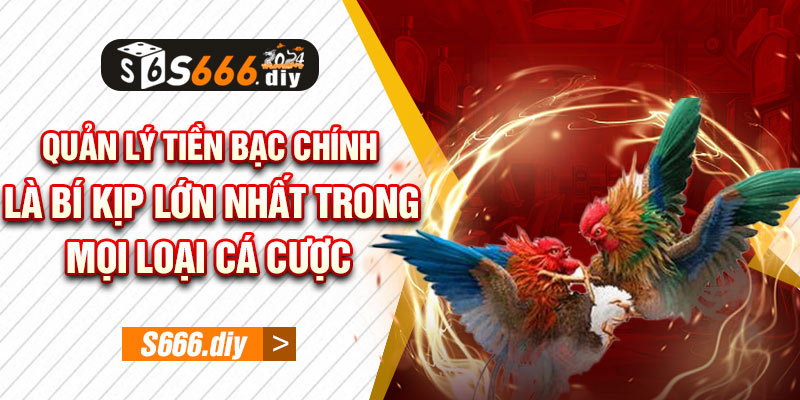 Quản lý tiền bạc chính là bí kịp lớn nhất trong mọi loại cá cược