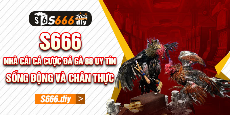 S666 - Nhà cái cá cược đá gà 88 uy tín, sống động và chân thực