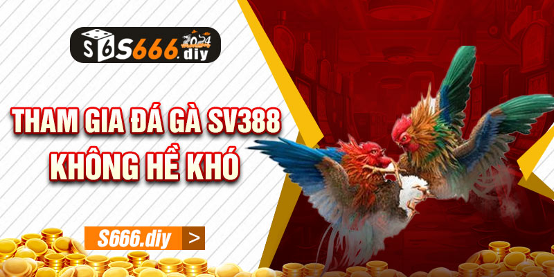 Tham gia đá gà SV388 không hề khó